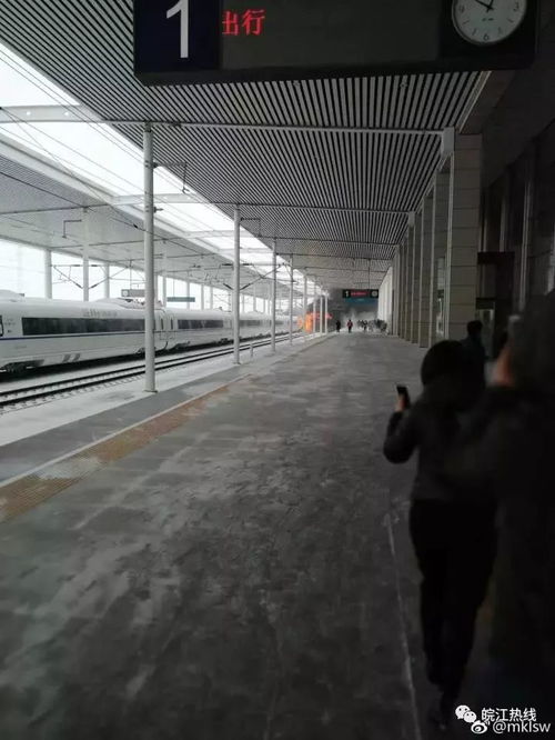 突发 一高铁列车行至安徽定远站时冒烟,大量旅客滞留 图